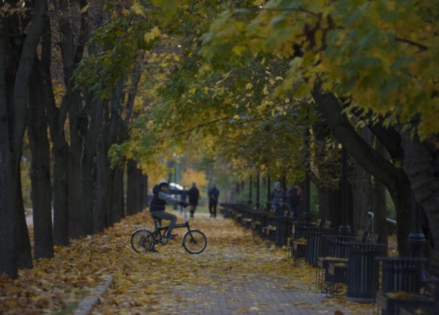 Около 90 парков планируется создать в Новой Москве к 2035 году