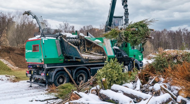 Москвичи сдали более 20 тысяч хвойных деревьев на утилизацию