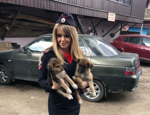 Полицейские УВД по ТиНАО спасли маленьких щенят