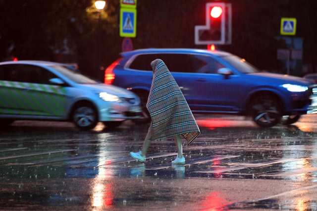 В МЧС предупредили москвичей о штормовом ветре и грозе