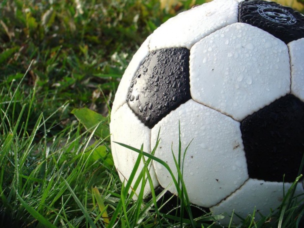 Юные футболисты поселения примут участие в турнире «Премьер-лига Новой Москвы»