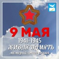 Жители поселения Внуковское могут принять участие в мемориальной акции ко Дню Победы