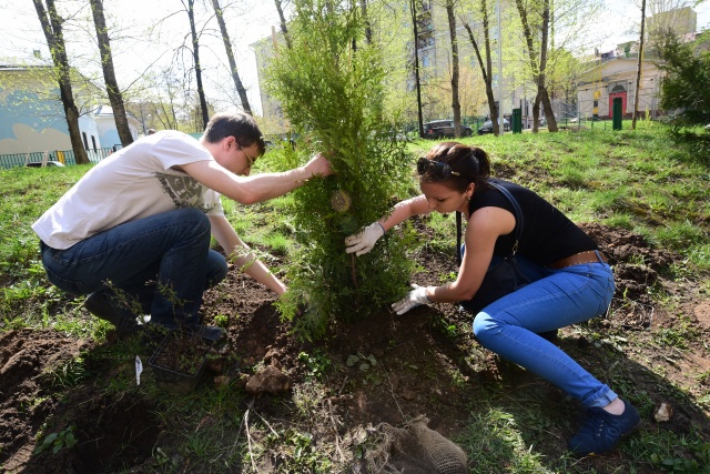 Жители Внуковского смогут озеленить дворы