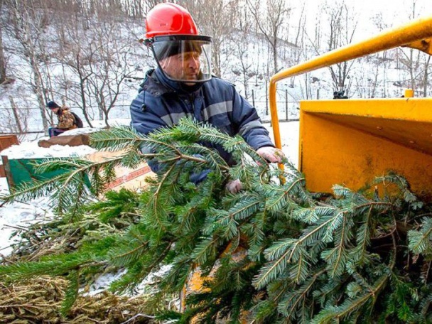 Пункты приема елок во Внуковском работают в круглосуточном режиме
