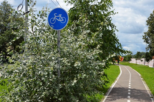 Свыше 35 километров велодорожек введут в ТиНАО к 2025 году