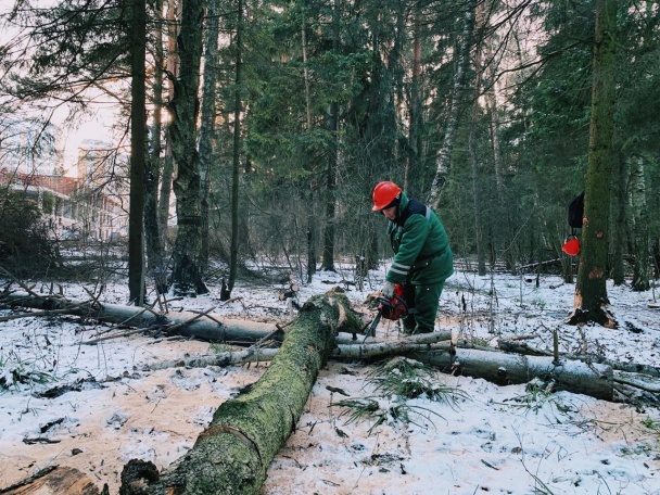 Работы по очистке территорий Ульяновского лесопарка, прилегающих к микрорайону Переделкино Ближнее