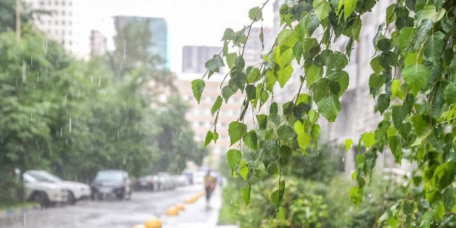 В среду в столице ожидаются дождь и сильный ветер
