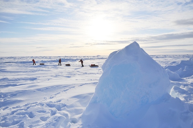 Ученица школы №1788 примет участие в арктической экспедиции