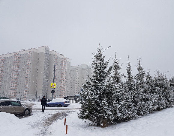 Ремонт подъездов в 16 домах проведут во Внуковском в 2019 году