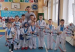 Ребята из поселения Внуковское приняли участие в соревнованиях по тхэквондо