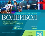 Кубок главы администрации по волейболу проведут во Внуковском