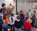 Ученики школы №1788 посетили зоологический музей