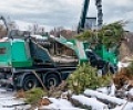 Москвичи сдали более 20 тысяч хвойных деревьев на утилизацию